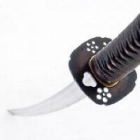 🇯🇵切れた刀🏍️戯風遊道 地雷(パネマジ)♨️