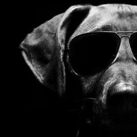 Michael X. Smith 🇺🇲