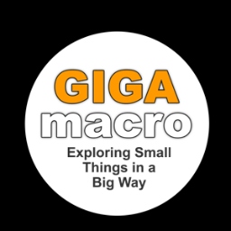 GIGAmacro