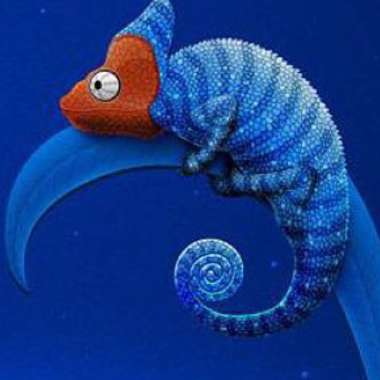 Ines 🇮🇱🇳🇱