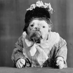 DangerMeredith 💉💉