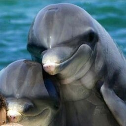 ovviamente voto Ilaria Salis