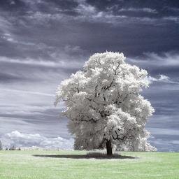 🦄 Fund.Drone.DefenseTech.Photonics $LPTH $UMAC 🐋