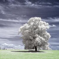 🦄 Fund.Drone.DefenseTech.Photonics $LPTH $UMAC 🐋