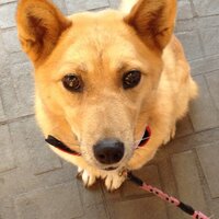 ルーさんと猫先輩から貰う幸せ♡