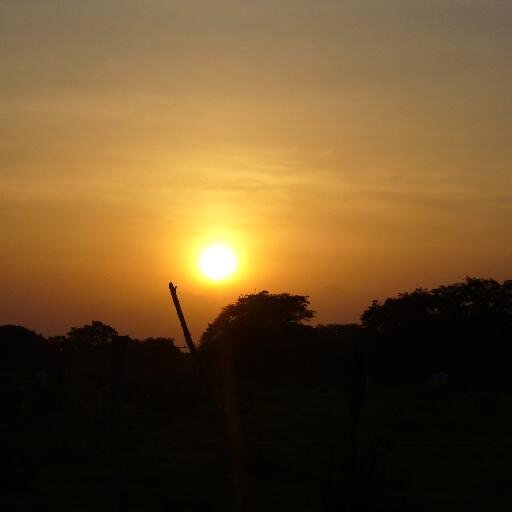 🇻🇪OT🇨🇴🇺🇸😎🤘