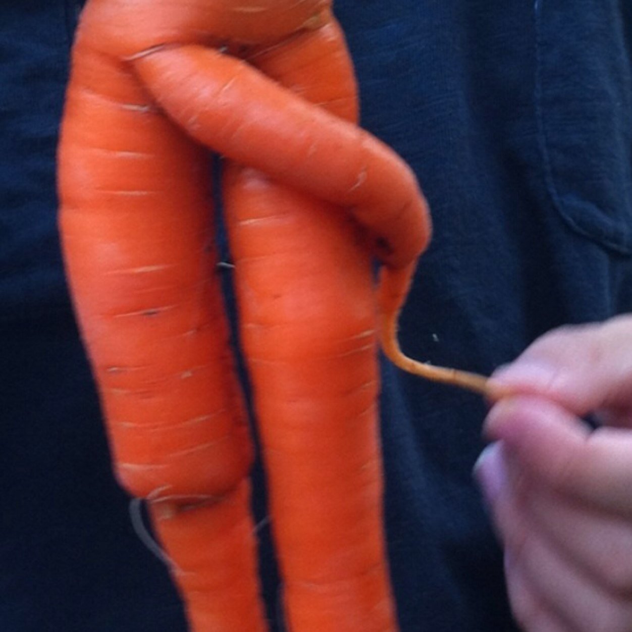 Anne Marie🌶🦞🐈