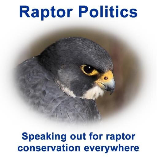 Raptor Politics