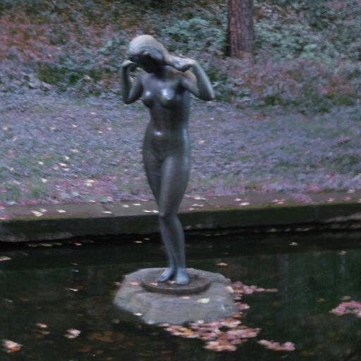 MsTi 🇫🇮 🕊️ 🇺🇦