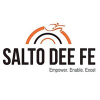 SaltoDeeFeConsulting