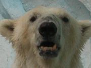 じごくのドアボーイ