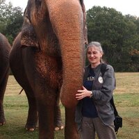 Angie Hougas - my tweets are my own.