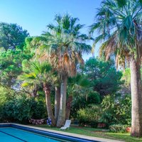 El Botánico de Sagra