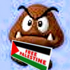 💙🌹 ** 🌹💙 🇵🇸#Free_Palestine🇵🇸