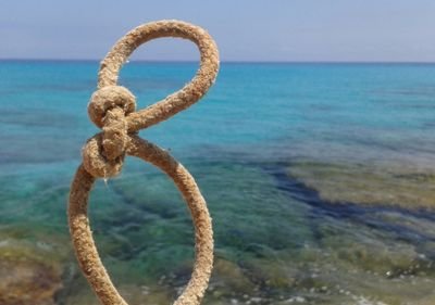 Elisabeth Fernàndez