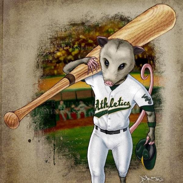 Rally Possum