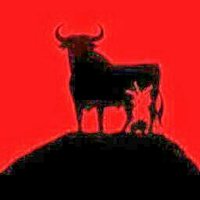 Españolpuracepa 🇪🇸🇪🇸