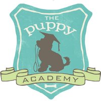 The Puppy Academy