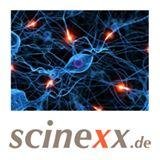 scinexx.de