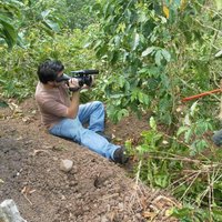 José Pablo Hernández