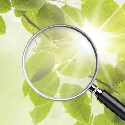 plaatjes-en-spreuken