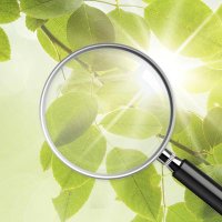 plaatjes-en-spreuken