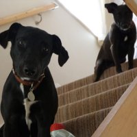 David Mead 大衛 米德