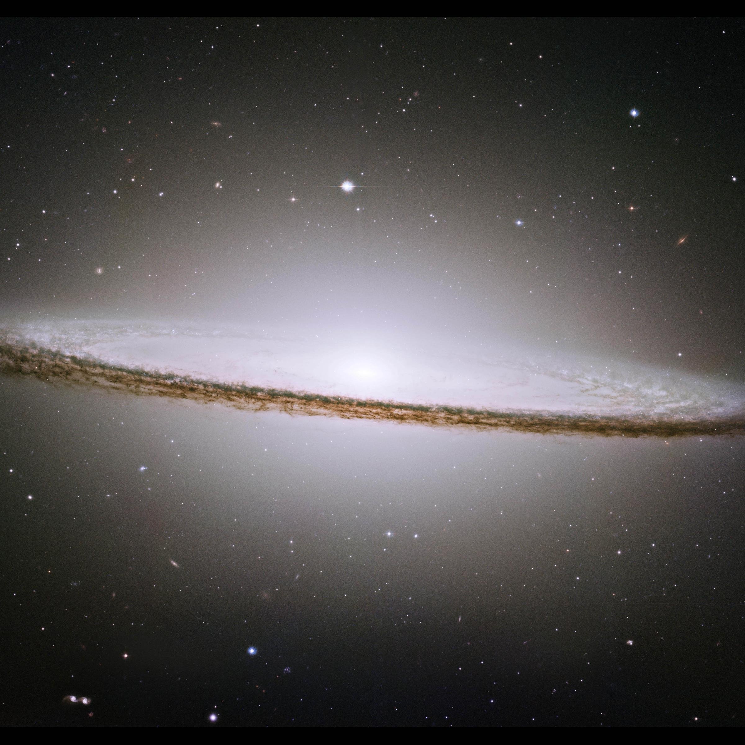 AlessandroCristofoli