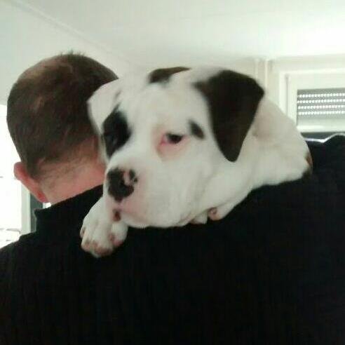 Johan🇳🇱 (Maatschappij Leven en Kijk)