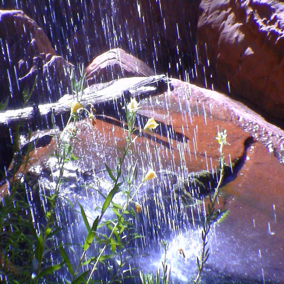 R.Visser (ook op Bluesky)