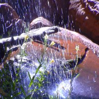 R.Visser (ook op Bluesky)