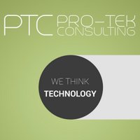 Pro-Tek Consulting