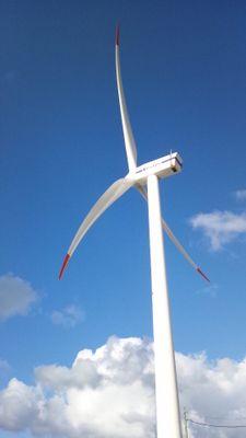 私設自動車博物園。