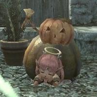 エルルーン@ぐらぶる（サプチケ組）