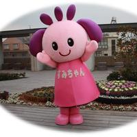 aka-p スケオタ・猫垢