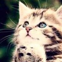 ぽんこ* 週初めはお休み✼.｡✿