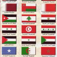 アラビア語サービスＡＮＣ 大阪　講師派遣（法人向け語学研修）、翻訳、通訳、オンラインレッスンなど