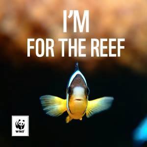 💧Rhonda Faye Hall