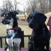 🇺🇸🇺🇸🇺🇸Joe 🇺🇸🇺🇸🇺🇸