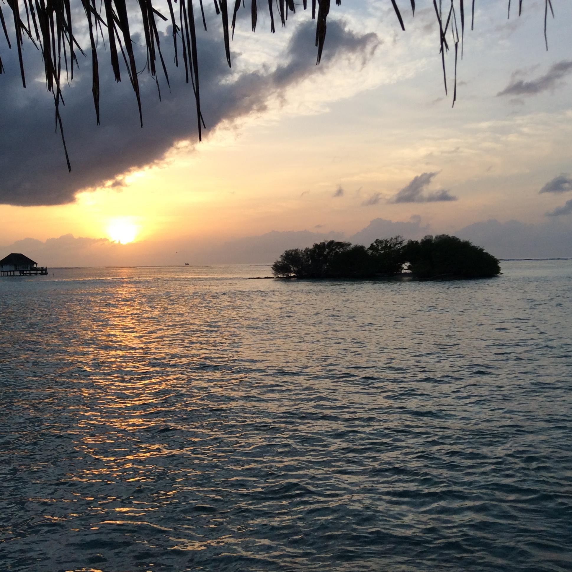 hiroyu 風民༄ Prema प्रेम 🪬