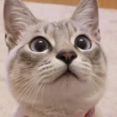 いちのせ@倉敷店