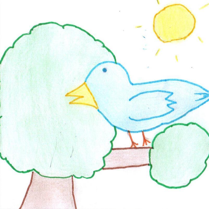 Les CM de Druye 🏫