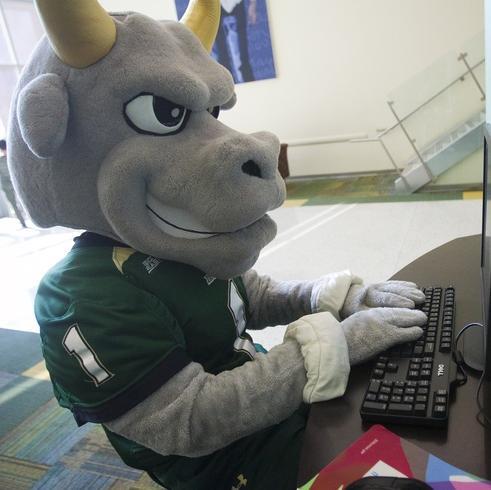 USF Advanced Athletic Training Program