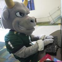 USF Advanced Athletic Training Program