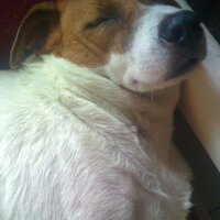 rmcorp | PIXELS CODE: RMCORP