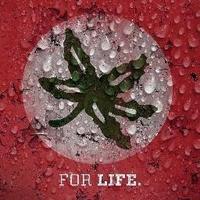 𝘽𝙪𝙘𝙠𝙚𝙮𝙚 𝙉𝙖𝙩𝙞𝙤𝙣 🌰