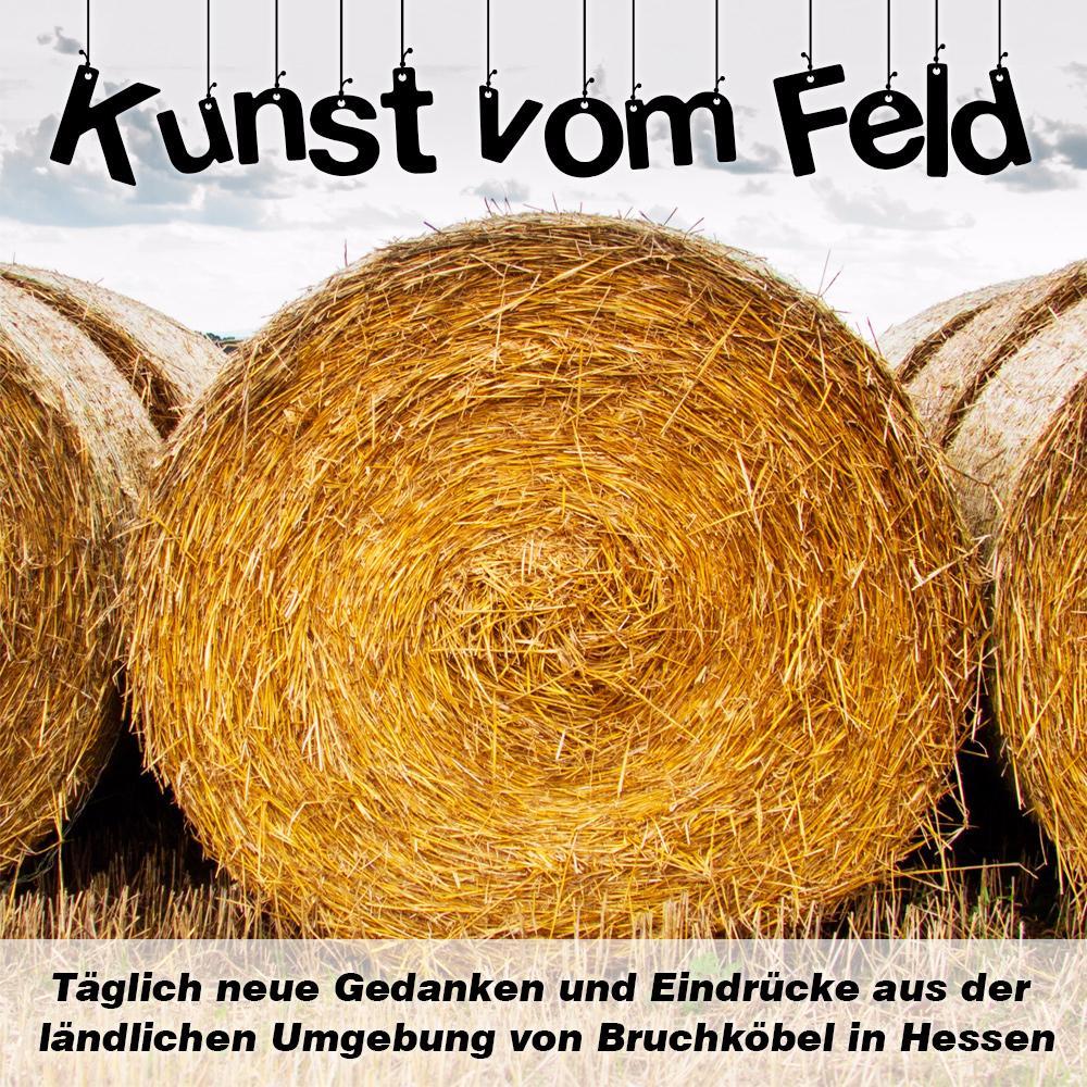 Kunst vom Feld
