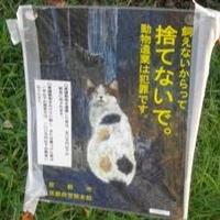 堀川幸太朗＠京都