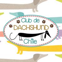 ClubDeDachshundChile