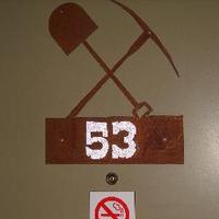 Dr WP Baskets🇵🇸🐶💙 🐎🌳📚🐝🐞🦋🌹ADHDDislexia.